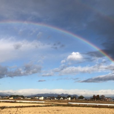 ilRc1jnYzCFSLic's profile picture. 