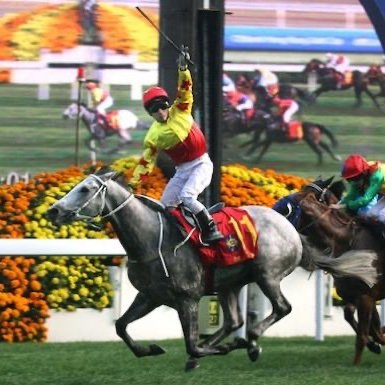 下一代香港赛马分析

Next Generation Hong Kong Horse Racing Analysis
Enquires: thethreecardtrick@gmail.com