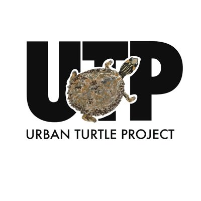 Documenting urban turtle populations in Alabama