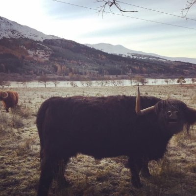 MartinPatrickJ1's profile picture. hAllow mate.