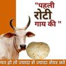raju_mittal's profile picture. I'm admirer of Hinduism