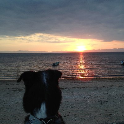 ER6l622LvxyY7oi's profile picture. 検察庁法改正案への抗議をきっかけに開設。一日も早く政権交代を。野党は共通政策を鮮明に政権交代に向け協議協力を。多くの心ある方々と民主的で知性的な日本へ。父は戦地へ母も戦争を経験。軍国主義自民党不要。Miyuki ・Occupational Therapist・ Occupational Science・Japan