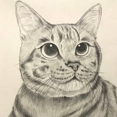 Yukari もっと強くなる 猫 キジトラ イラスト 鉛筆画 絵描きさんと繋がりたい イラスト好きさんと繋がりたい 猫好きさんと繋がりたい Cat Browntabby Illustration