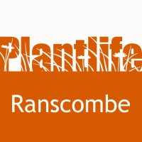 Ranscombe Farm - Plantlife's Flagship Reserve (@ranscombe_farm) 's Twitter Profile