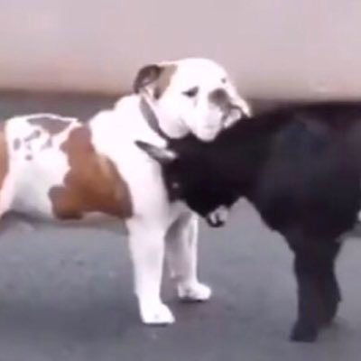 zikyuutwj's profile picture. 時給は850円、ときどき1000円でした。そして稀にモルックをしています。やれやれ