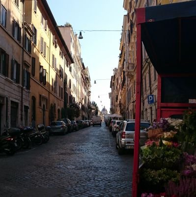 PaolaC295's profile picture. 