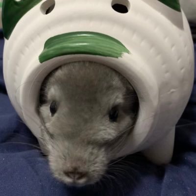 碧棺左馬刻さんのプロフィール画像