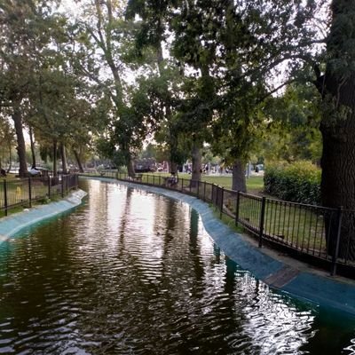 kobanriver's profile picture. 