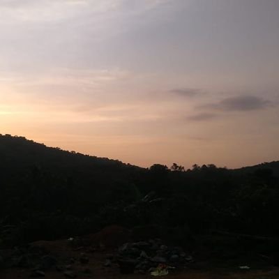 Merlin04574210's profile picture. 