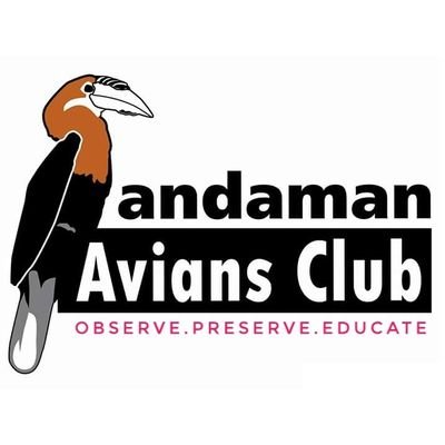 Andaman Avians Club is the first & only bird watching & conservation volunteer's club in A & N Island with the motto : Observe, Preserve and Educate