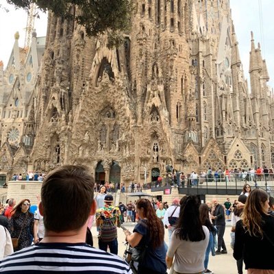 AmusingAvocado's profile picture. Living the geek life - MTG, Warhammer 40K