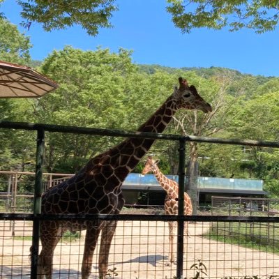 yaqAcpszhHEv3xh's profile picture. 