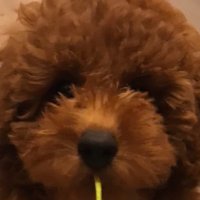 KRM🐸 (@krm_aua) 's Twitter Profile