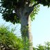 @1YuCKegDI2mDCuT
