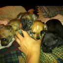 Greg Snipes - @cgsnipes - Twitter