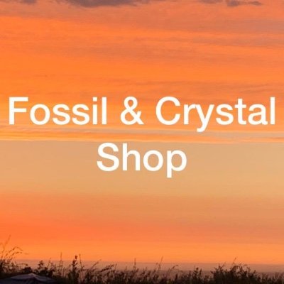 Fossil and Crystal Gifts with a difference!! For the whole family: home ware, trophies, kids collectables, jewellery & more! Fun family blog - take a peek!