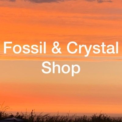 Fossil and Crystal Gifts with a difference!! For the whole family: home ware, trophies, kids collectables, jewellery & more! Fun family blog - take a peek!