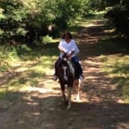 Locnlode's profile picture. Retired Personal Gardener 🌹 I may be addicted to watching storm chasers. I do like a good storm 🌪️ Dog Mom to @leolocnlode 🥰🐾