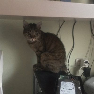 dnesp128's profile picture. Daniel 😁