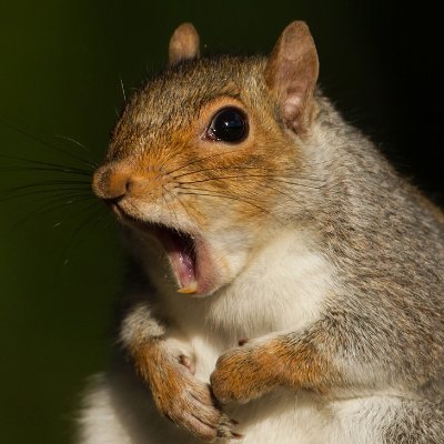 Veikko73034370's profile picture. 