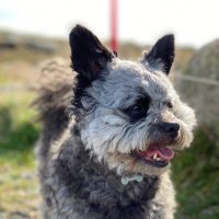 Nick 🚴🏻‍♂️🏌🏼‍♂️🏏 (@nickturns65) 's Twitter Profile Photo