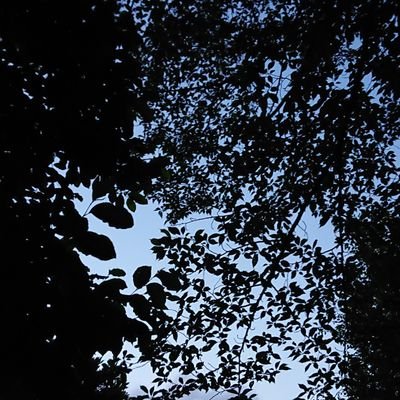 初めまして!
映像作る仕事やってます!(*^^*)
動画編集に関わる情報を配信します!
お問い合わせはDMからどうぞ!
ポートフォリオ
https://t.co/Y3QOBp8ZsH