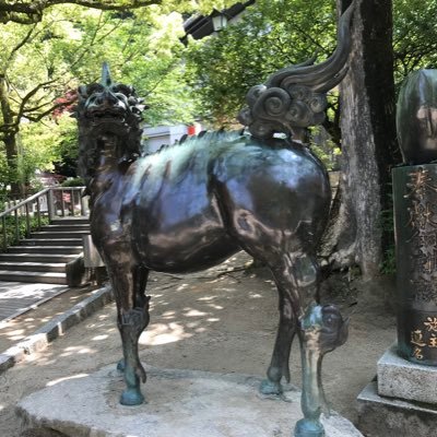 plan_cY's profile picture. 苦味と旨みと爽やかさの調和とバランス