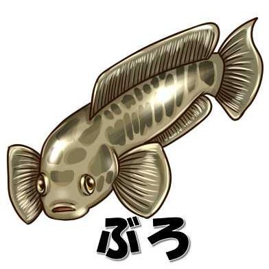 ブロ 固定ツイ 淡水大物を狙ったサイト運営してます ガサガサ ガルプ汁の改造や ドバミミズ飼育繁殖実験も行っています 基本的に大物狙いますが オイカワ カワムツを狙って釣ることもあります 最大は113 です T Co Fjxeulmi31