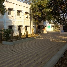 Tdr_Sheragada's profile picture. Hassle-Free Service to Public