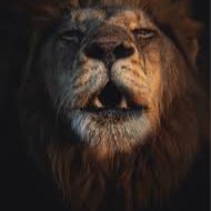 Barend_Arend's profile picture. 