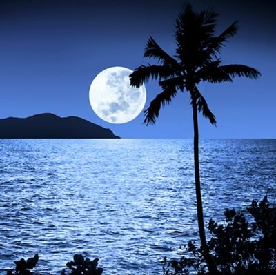 Alharbi0ia's profile picture. ياليت حظي يقوم مثل حظوظ بعض الناس💔