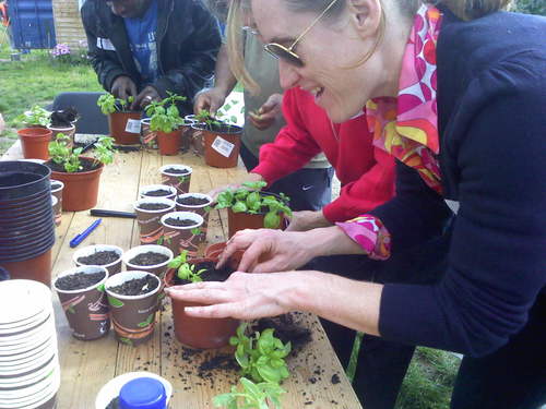 We enable Sutton residents to buy or grow their own food, offering Food Growing Training, Community Allotment, School and Community training