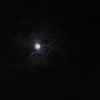 . (@_nouurra_) 's Twitter Profile Photo . (@_nouurra_) 's Twitter Profile Photo