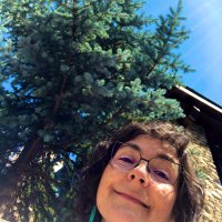 Carme Mompó i Avilés (@cmompoaviles) 's Twitter Profile