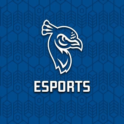 The official student-run Twitter account for the Saint Peter's University Esports team. Established in the Spring of 2018.

IG: spu_esports
YT: SPU Esports