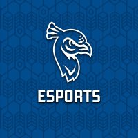 SPU Esports(@SpuEsports) 's Twitter Profileg