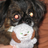 jackvash's profile image