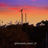 Soliloquy_Writer (@soliloquywriter) 's Twitter Profile