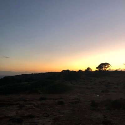 Si vas pel teu compte, sempre seràs una forastera.