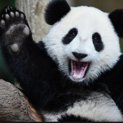 Cohort5ELA's profile picture. We are the Year Four class at England Lane Academy in Knottingley.