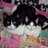 Mishona2's profile image