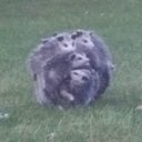 Richard Scarry enthusiast - @InsanesilksYo - Twitter