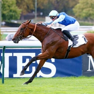 Ballymore Thoroughbred - Wildenstein Stables - Écurie Wildenstein - Daniel Wildenstein