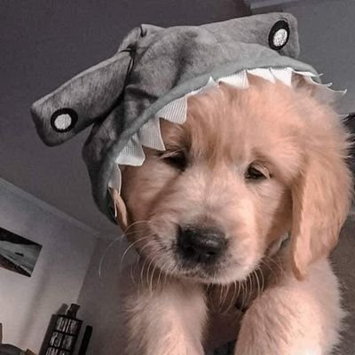 nopep3l's profile picture. 🌟 ♠️♥️JJay♦️♣️ 🌟 https://t.co/guzsQsXkrx