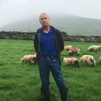 Johnjoe Fitzgerald (@johnjoefitzger1) 's Twitter Profile