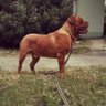 MMA_Marignane's profile picture.