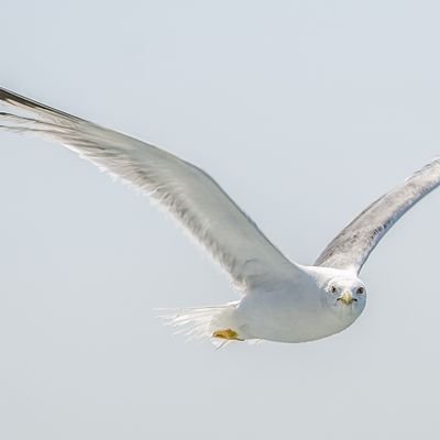 sado75717's profile picture. seviyoruzzz..:)