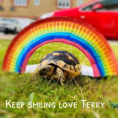 Terry Tortoise @ Mapplewell Primary