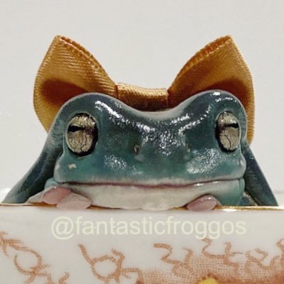 TheFroggos Profile Picture