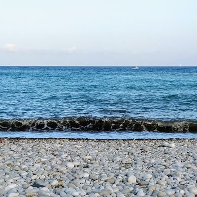 eva_mrquez's profile picture.